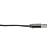 Tripp Lite by Eaton U038-006-CRA USB Type-A to Type-C Cable, M/M, 6 ft. - U038-006-CRA