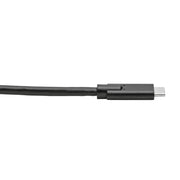 Tripp Lite series U420-010 USB Type-C to USB Type-C Cable, M/M, 10 ft. - U420-010