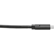 Tripp Lite series U420-010 USB Type-C to USB Type-C Cable, M/M, 10 ft. - U420-010