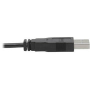 Tripp Lite by Eaton P760-010-DVI KVM Cable - P760-010-DVI