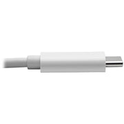 Tripp Lite by Eaton U444-010-DE USB-C to DVI Adapter Cable (M/M), White, 10 ft. (3 m) - U444-010-DE
