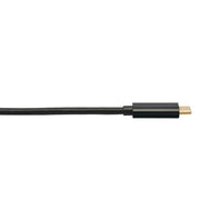 Tripp Lite by Eaton U444-010-H4K6BM USB-C to HDMI Adapter, M/M, Black, 10 ft. - U444-010-H4K6BM