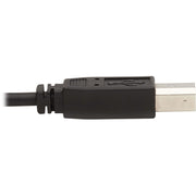 Tripp Lite by Eaton KVM Cable - P783-006