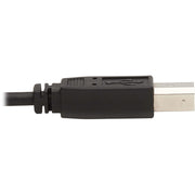 Tripp Lite by Eaton KVM Cable - P783-006-DP