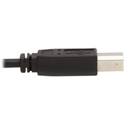 Tripp Lite by Eaton KVM Cable - P783-006-DPU