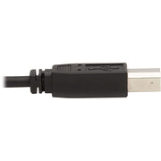 Tripp Lite by Eaton KVM Cable - P783-006-U