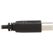 Tripp Lite by Eaton KVM Cable - P783-010-DP
