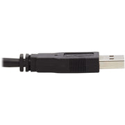 Tripp Lite by Eaton P783-010-DPU KVM Cable - P783-010-DPU