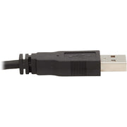 Tripp Lite by Eaton P784-006-DV KVM Cable - P784-006-DV