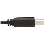 Tripp Lite by Eaton P784-006-U KVM Cable - P784-006-U