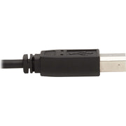 Tripp Lite by Eaton P784-010 KVM Cable - P784-010