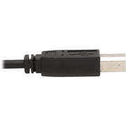Tripp Lite by Eaton P784-010-DVU KVM Cable - P784-010-DVU