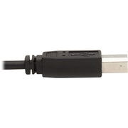 Tripp Lite by Eaton P784-010-U KVM Cable - P784-010-U