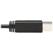 Tripp Lite by Eaton U422-20N-G2 USB-C 3.1 Gen 2 to USB 3.0 Type-B Cable (M/M), 20 in - U422-20N-G2