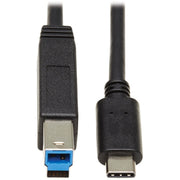 Tripp Lite by Eaton U422-20N-G2 USB-C 3.1 Gen 2 to USB 3.0 Type-B Cable (M/M), 20 in