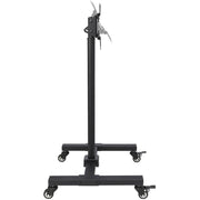 Tripp Lite by Eaton DMC1342S Mobile TV Stand, 13" to 42" TVs and Monitors - DMC1342S