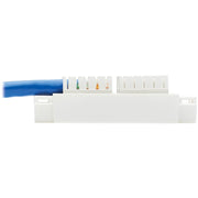 Tripp Lite by Eaton Cat6 Junction Box Cable Assembly, 18 in., Blue - N237-P18N-WHSH