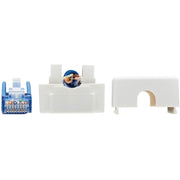 Tripp Lite by Eaton Cat6 Junction Box Cable Assembly, 18 in., Blue - N237-P18N-WHSH