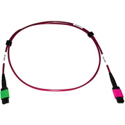 Tripp Lite series N846D-01M-16BMG Fiber Optic Patch Network Cable - N846D-01M-16BMG