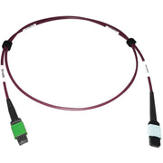Tripp Lite series N846D-01M-16CMG Fiber Optic Patch Network Cable - N846D-01M-16CMG
