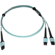 Tripp Lite by Eaton N846D-01M-24BAQ Fiber Optic Patch Network Cable - N846D-01M-24BAQ