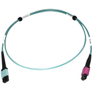 Tripp Lite by Eaton N846D-01M-24DAQ Fiber Optic Patch Network Cable - N846D-01M-24DAQ