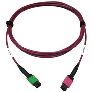 Tripp Lite series N846D-03M-16BMG 400G Multimode 50/125 OM4 Fiber Optic Cable, Magenta, 3 m - N846D-03M-16BMG