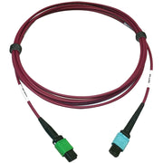 Tripp Lite series N846D-03M-16CMG 400G Multimode 50/125 OM4 Fiber Optic Cable, Magenta, 3 m - N846D-03M-16CMG