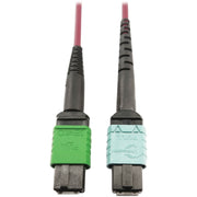 Tripp Lite series N846D-03M-16CMG 400G Multimode 50/125 OM4 Fiber Optic Cable, Magenta, 3 m