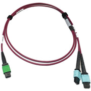 Tripp Lite series N846D-03M-16DMG 400G Multimode 50/125 OM4 Fiber Optic Cable, Magenta, 3 m - N846D-03M-16DMG