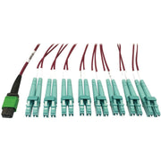 Tripp Lite series N846D-03M-16EMG 400G Multimode 50/125 OM4 Fiber Optic Cable, Magenta, 3 m