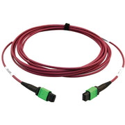 Tripp Lite series N846D-05M-16AMG Fiber Optic Network Cable - N846D-05M-16AMG