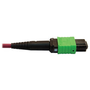 Tripp Lite series N846D-05M-16CMG Fiber Optic Network Cable - N846D-05M-16CMG