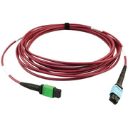 Tripp Lite series N846D-05M-16CMG Fiber Optic Network Cable - N846D-05M-16CMG