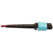 Tripp Lite series N846D-05M-16CMG Fiber Optic Network Cable - N846D-05M-16CMG