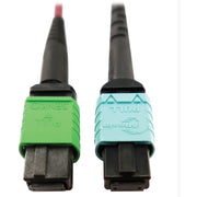 Tripp Lite series N846D-05M-16CMG Fiber Optic Network Cable - N846D-05M-16CMG