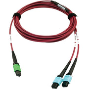 Tripp Lite series N846D-05M-16DMG Fiber Optic network Cable - N846D-05M-16DMG