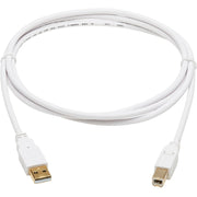 Tripp Lite Safe-IT USB-A to USB-B Antibacterial Cable (M/M), USB 2.0, White, 6 ft. - U022AB-006-WH