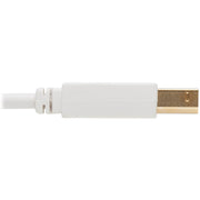 Tripp Lite Safe-IT USB-A to USB-B Antibacterial Cable (M/M), USB 2.0, White, 6 ft. - U022AB-006-WH