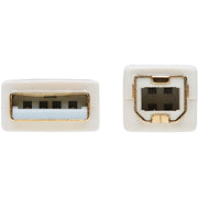 Tripp Lite Safe-IT USB-A to USB-B Antibacterial Cable (M/M), USB 2.0, White, 10 ft. - U022AB-010-WH