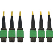 Tripp Lite by Eaton N392B-30M-3X8AP Fiber Optic Trunk Network Cable