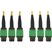 Tripp Lite by Eaton N392B-45M-3X8AP Fiber Optic Trunk Network Cable