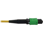 Tripp Lite by Eaton N392B-61M-3X8AP Fiber Optic Trunk Network Cable - N392B-61M-3X8AP