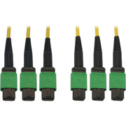 Tripp Lite by Eaton N392B-61M-3X8AP Fiber Optic Trunk Network Cable