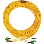Tripp Lite by Eaton N392B-61M-3X8AP Fiber Optic Trunk Network Cable - N392B-61M-3X8AP