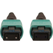 Tripp Lite by Eaton N842B-05M-12-MF Fiber Optic Network Cable - N842B-05M-12-MF