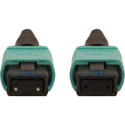 Tripp Lite by Eaton N842B-10M-12-MF Fiber Optic Network Cable - N842B-10M-12-MF