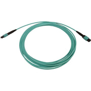 Tripp Lite by Eaton N842B-10M-12-MF Fiber Optic Network Cable - N842B-10M-12-MF