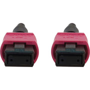 Tripp Lite by Eaton N845B-02M-12-MG Fiber Optic Network Cable - N845B-02M-12-MG
