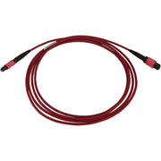 Tripp Lite by Eaton N845B-02M-12-MG Fiber Optic Network Cable - N845B-02M-12-MG